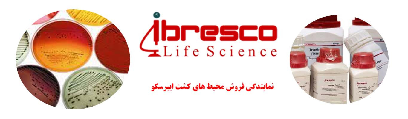 نمایندگی فروش ایبرسکو