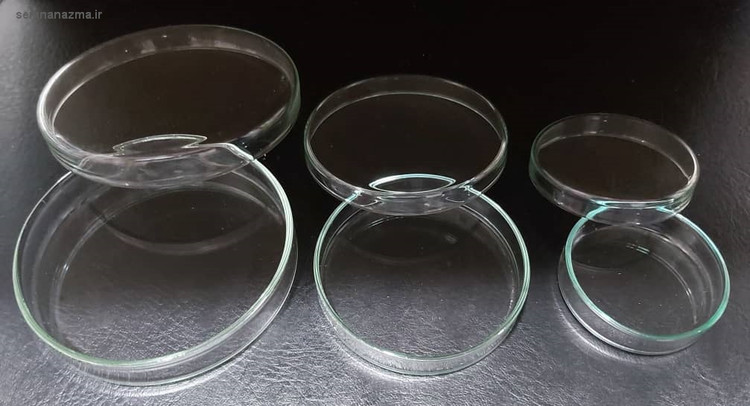 پلیت (پتری دیش) شیشهای