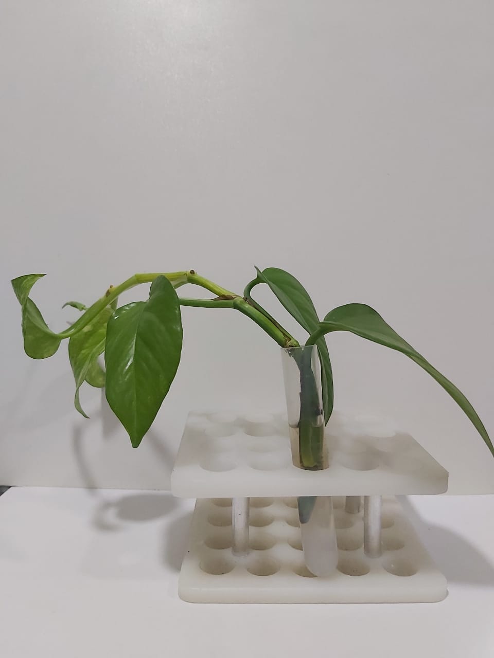 لوله آزمایش شیشه‌ای سایز 160*16